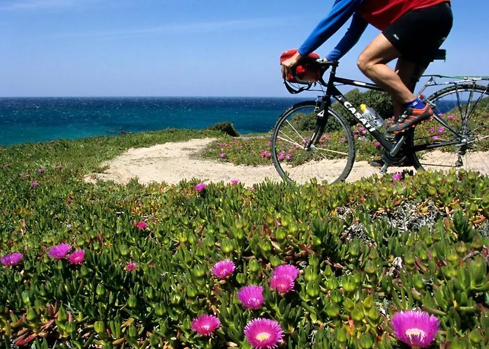 卡尔博尼亚卢酒店 酒店