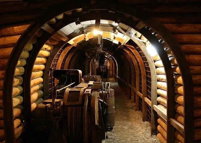 卡尔博尼亚卢酒店 4*